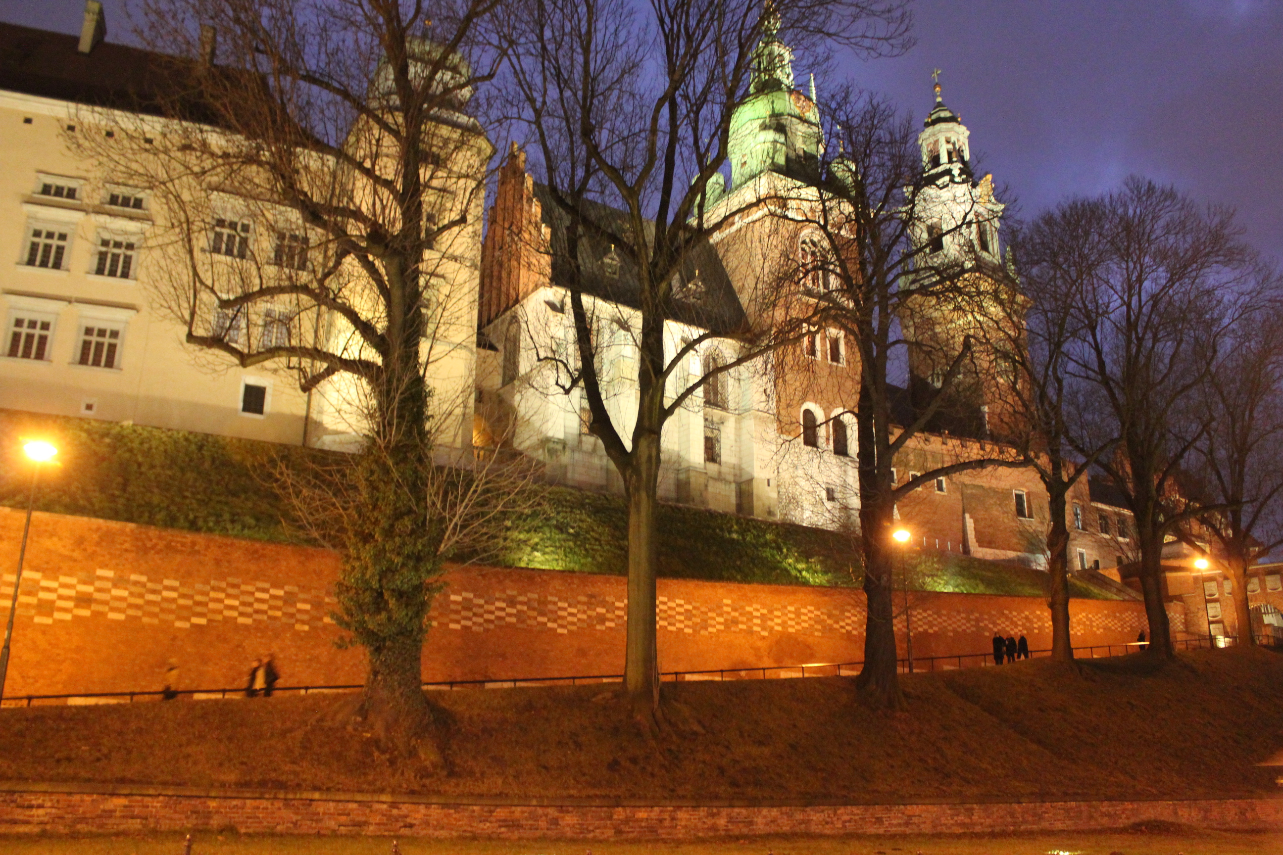 Lit Building; Krakow, Poland; 2011