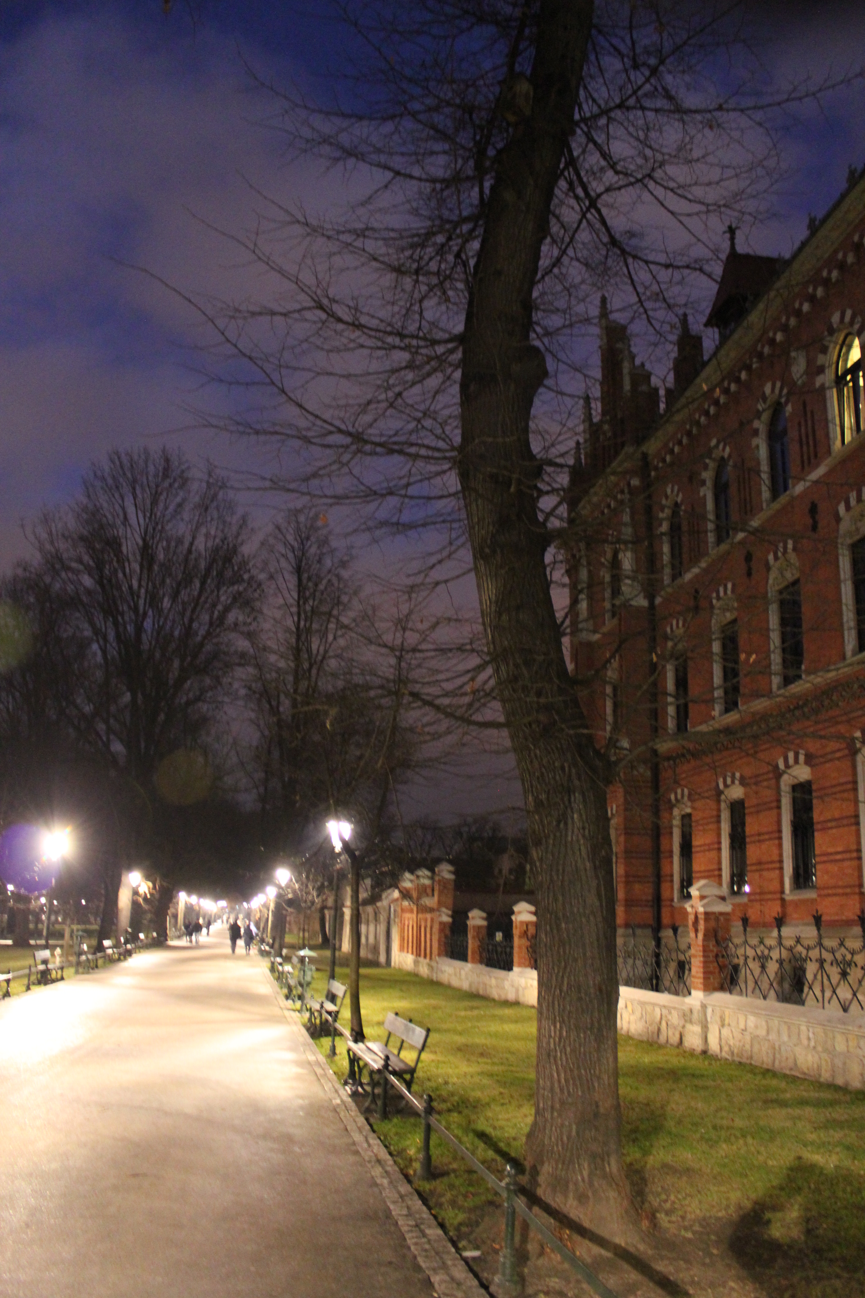 The Park at Night; Krakow, Poland; 2011