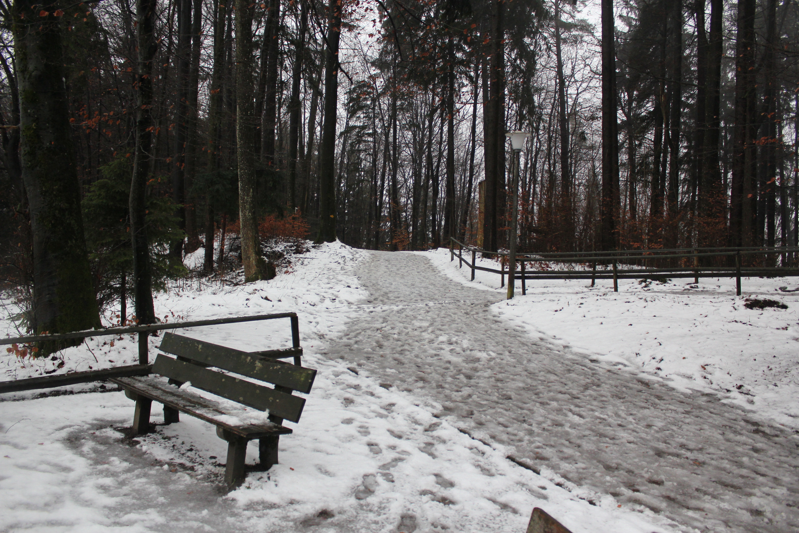 Snowy Park; Zurich, Switzerland; 2011