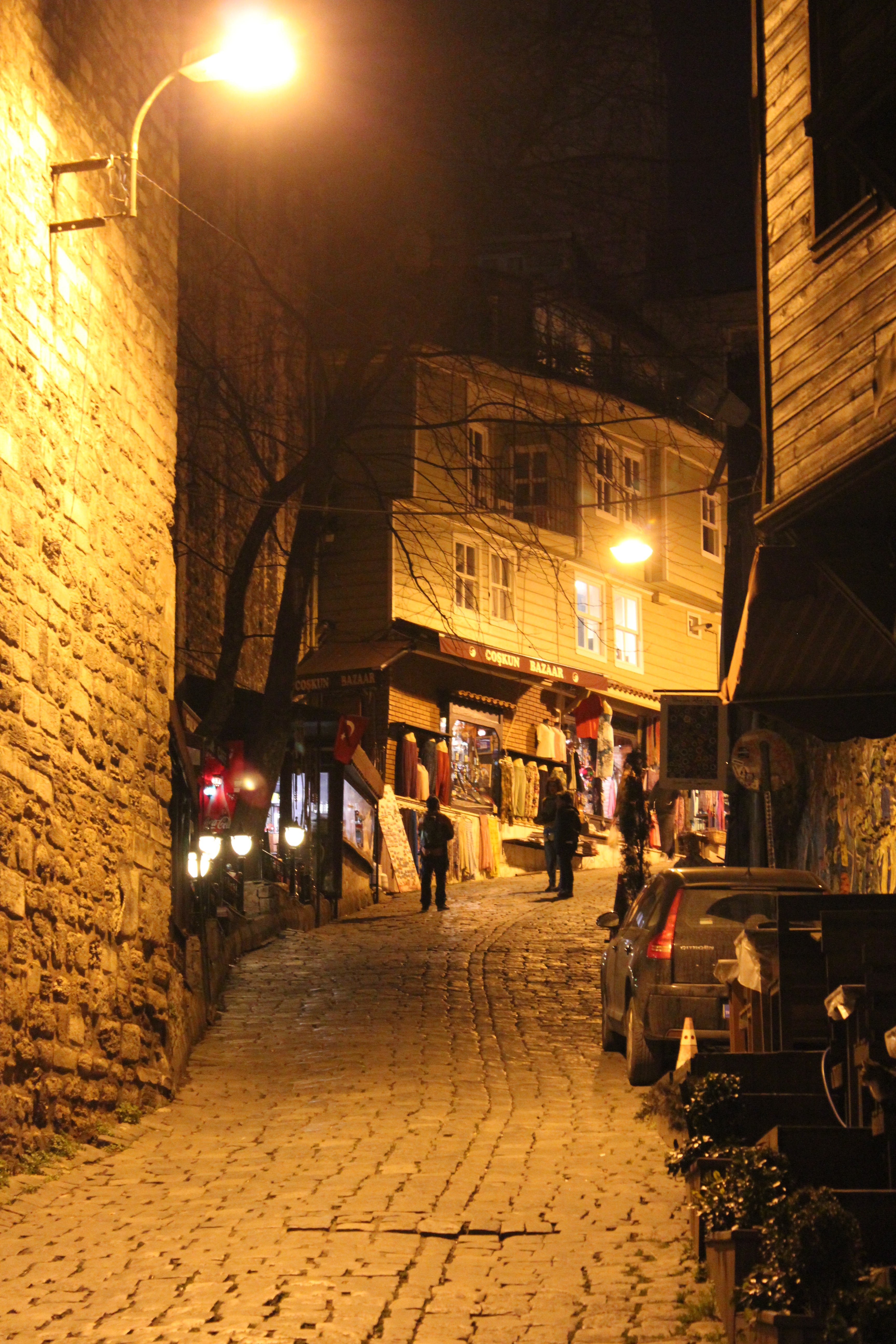 Lit Pathways; Istanbul, Turkey; 2013